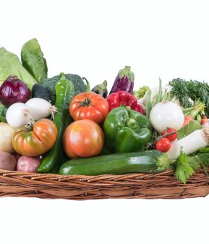 FVSilvestre_100 copia 8